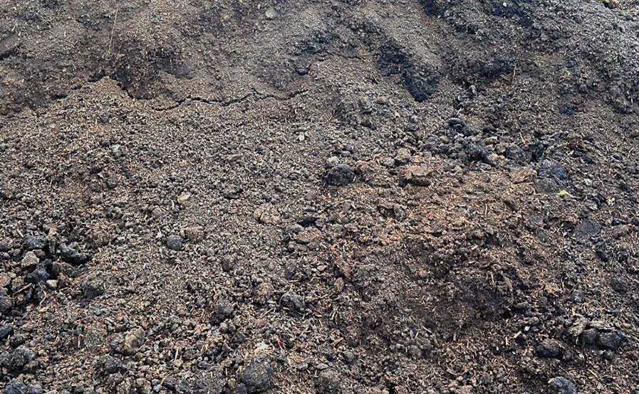 copmpost-mushroom-manure