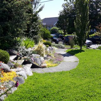 Chafer Resistant Lawn Mix