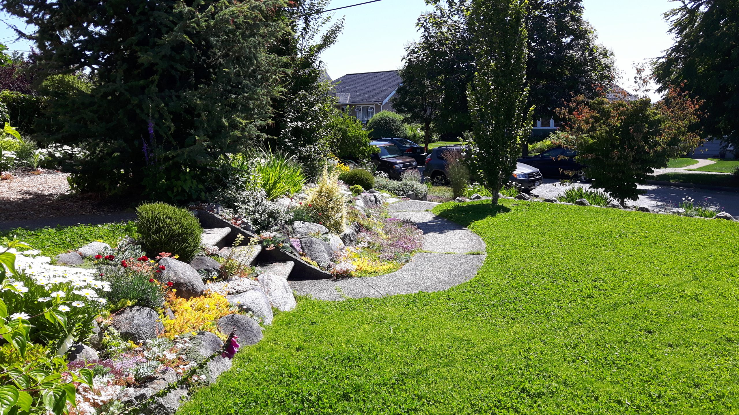 Chafer Resistant Lawn Mix