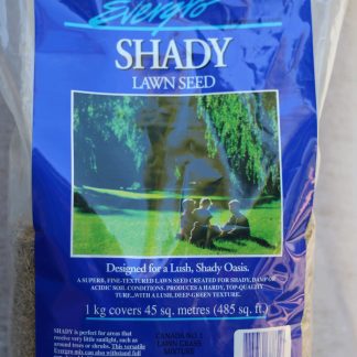 Shady Lawn Seed 1kg or 4kg