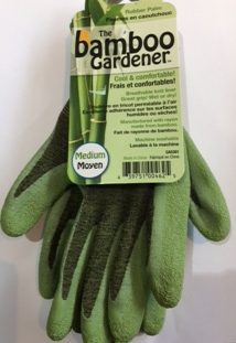 The Bamboo Gardener Rubber Palm